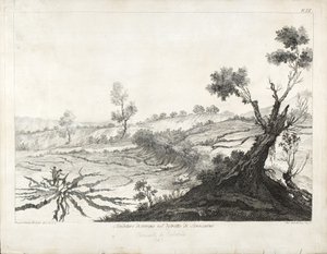 Aardverschuivingen in het Terocarne District, Calabrië door Pompeo Schiantarelli